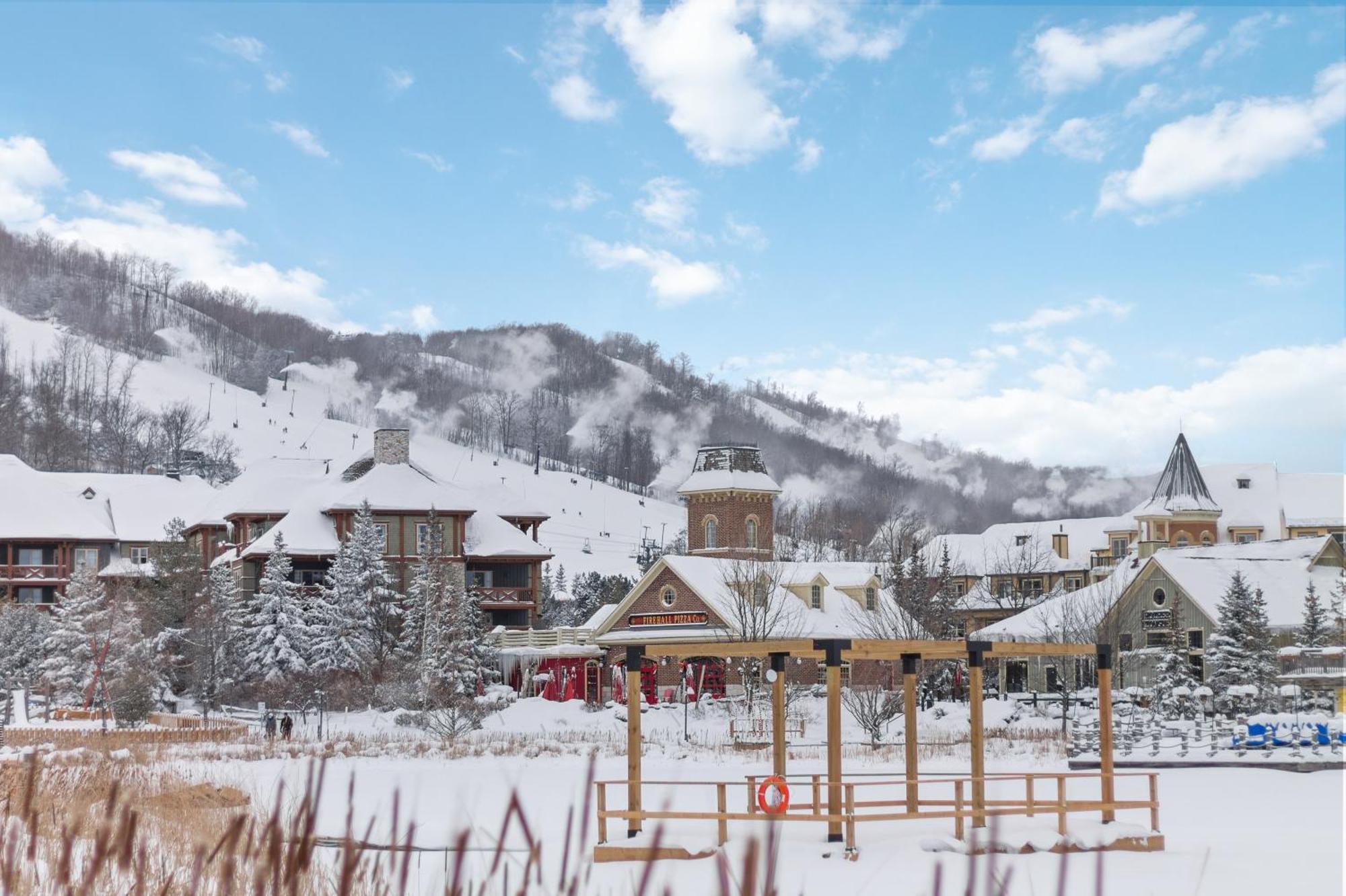 ブルー・マウンテンズ Wintergreen Retreat With Private Sauna & Patio 82291ヴィラ エクステリア 写真